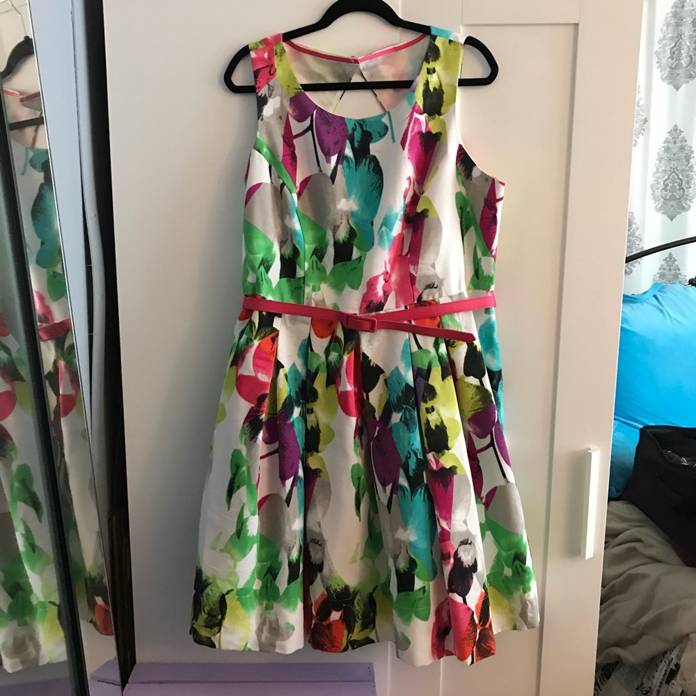 Multicolor Fit and Flare Dress